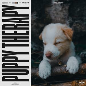 Puppy Therapy - Puppy Music