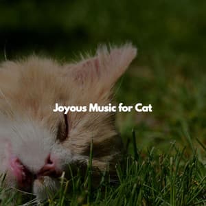 Joyous Music for Cat - Relaxing Jazz Restaurant Music