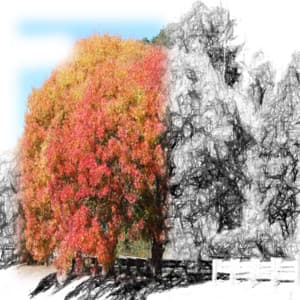 White Noise Spa Collection - 50 Shades of Ambience - Loopable Noise