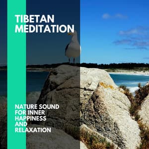 Tibetan Meditation - Nature Sound for Inner Happiness and Relaxation - Incredible Oceans