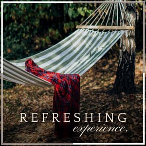 Refreshing Experience - Ultimate Massage Music Ensemble