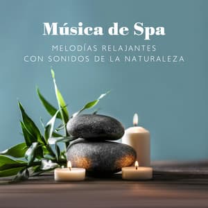 Música de Spa: Melodías Relajantes con Sonidos de la Naturaleza - Zona Música Relaxante
