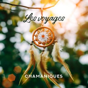 Les voyages chamaniques: Musique sacrée pour des visualisations et des méditations, Vibrations magiques - Zone de Méditation Spirituelle
