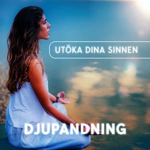 Utöka dina sinnen - Lugn Musik Atmosfär