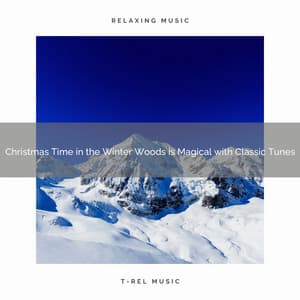 Christmas Time in the Winter Woods is Magical with Classic Tunes - The Outdoor Library