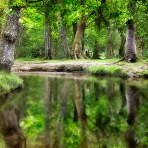 Mystic Waters: Enchanting Tunes Inspired by Mysterious Waters - Water FX