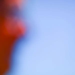 Fantastic Bgm for Jazzy Nature - Jazz Classics for Reading