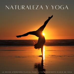 Naturaleza Y Yoga: La Mejor Atmósfera Fluvial Para Tu Entrenamiento Diario De Yoga - Musica pilates