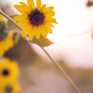 Bruit de sommeil gris froid - Relaxation naturelle du bruit blanc