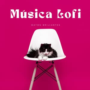 Música Lofi: Gatos Brillantes - Relajante Lo Fi