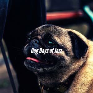 Dog Days of Jazz - Doggy Music Radio