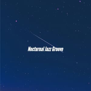 Nocturnal Jazz Groove - Summer Chilling Jazz