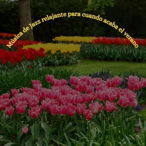 Música de Jazz relajante para cuando acaba el verano - Hotel Luxury Jazz