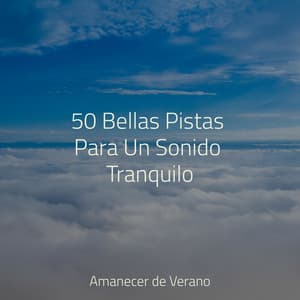 50 Bellas Pistas Para Un Sonido Tranquilo - Rumbas de España