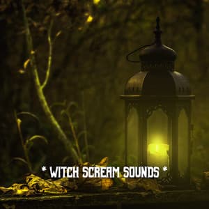 * Witch Scream Sounds * - The Haunted House of Horror Sound Effects