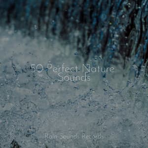 50 Perfect Nature Sounds - Rain For Deep Sleep
