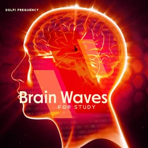 Brain Waves for Study: Mindfulness, Focus, 432 Hz for Learning - Solfi Frequency