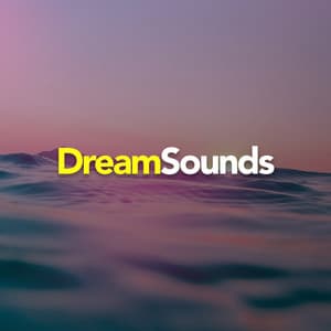 Dream Sounds - Rain Recorders