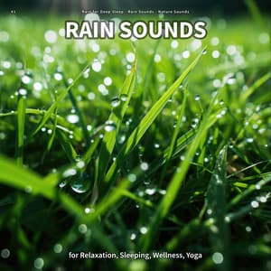 #1 Rain Sounds for Relaxation, Sleeping, Wellness, Yoga - Rain For Deep Sleep