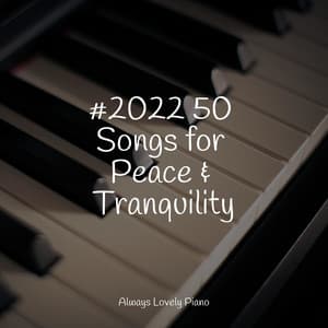 Calm & Tranquil Melodies | Focused Work and Study - Concentrate with Classical Piano