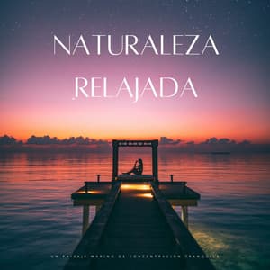 Naturaleza Relajada: Un Paisaje Marino De Concentración Tranquila - Música Inteligente