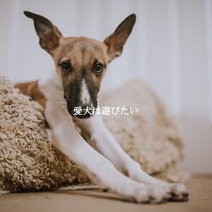 愛犬は遊びたい - Speakeasy Jazz Playlist