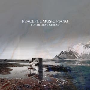 Peaceful Music Piano for Relieve Stress: Calm Music for Study and Ways to Relax Before Bed - Relaxation Meditation Songs Divine