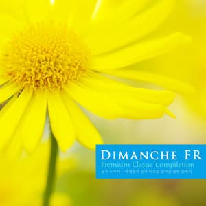 Healing Classic To Relieve Student Fatigue - Moritz Moszkowski