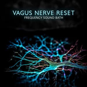 Vagus Nerve Reset: Healing Frequency Sound Bath, Relax Your Mind & Body to Heal - Buddha Music Sanctuary