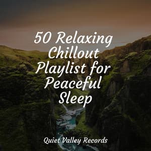 50 Relaxing Chillout Playlist for Peaceful Sleep - Nature Sounds Collection