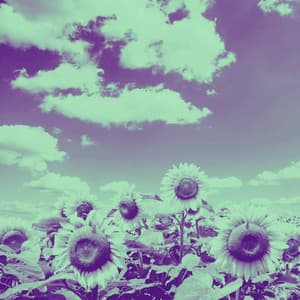 Urbane Ambiance for Focusing Tales - Playlist for Nighttime Calm