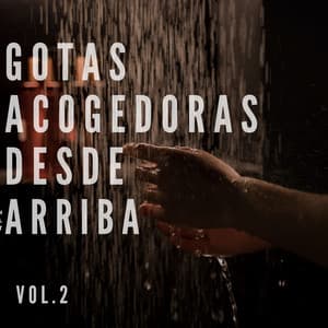 Gotas acogedoras desde arriba Vol.2 - Lluvia