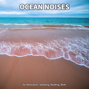 #1 Ocean Noises for Relaxation, Sleeping, Reading, Reiki - Ocean Sounds Collection