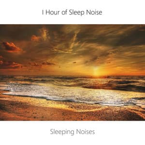 1 Hour Sleep Noise Loop. Sea, Wind and Brown Noise Sleep. Sleeping Music. - Sleeping Noises and Calming Relax Therapy Noise