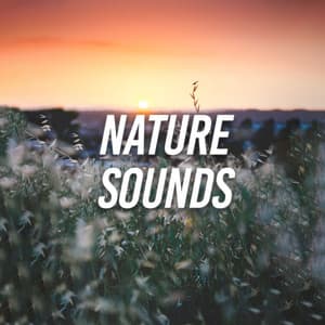 Nature Sounds - Nature Sounds