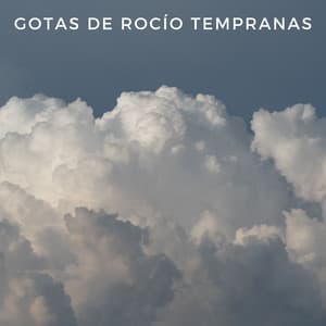 Gotas De Rocío Tempranas - ASMR Lluvioso