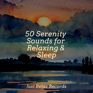 50 Serenity Sounds for Relaxing & Sleep - Anxiety Relief