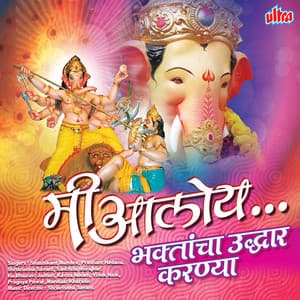 Mi Aaloy - Shrikrishna Sawant