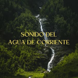 Sonido Del Agua De Corriente - Flujo de agua definitivo