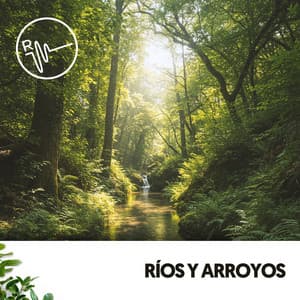 Ríos y Arroyos: Melodías Acuáticas - Ruido Blanco Hart