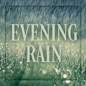 Evening Rain - Natural Soundscape Society