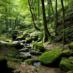 Notas Fluidas Del Agua: Sinfonía Serenata Del Arroyo - Madre tierra hd