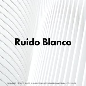 Cachorro Pacífico: Ruido Blanco Con Un Sonido Relajante Para Los Perros - Foco de ruido blanco en bucle