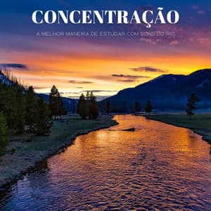 Concentração: A Melhor Maneira De Estudar Com Sons Do Rio - #Calmante