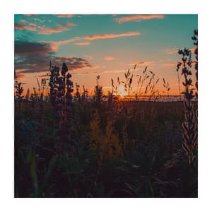 Good Feelings in My Life - Relaxing Evening Music Universe