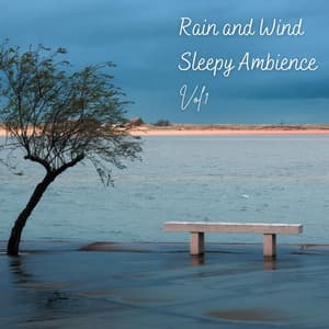 Rain and Wind Sleepy Ambience Vol. 1 - Sleep Star