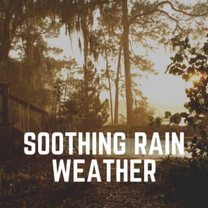 Soothing Rain Weather - Rain and Chill