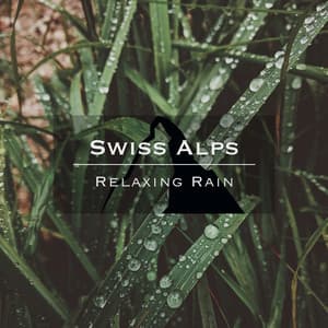 Swiss Alps - Relaxing Rain - Noise Academy