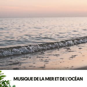 Musik des Meeres und des Ozeans: Regentropfenverjüngung - Cat Music