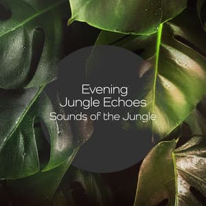 Evening Jungle Echoes - Sounds of the Jungle